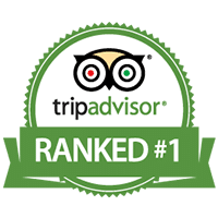 Trip Advisor